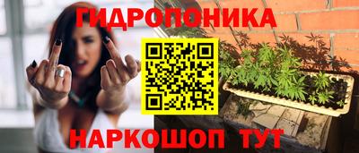 a pvp Волжск